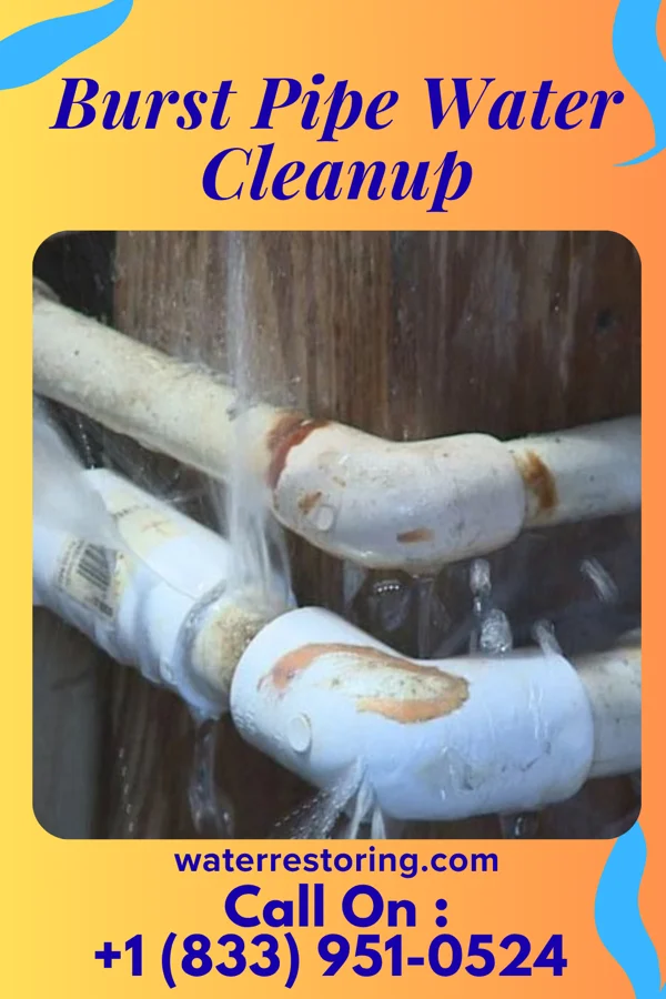 Burst Pipe Water Cleanup in Burkittsville, MD