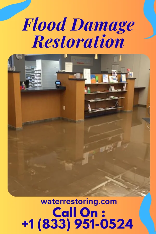 Flood Damage Restoration in Burkittsville, MD