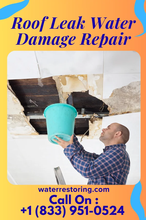 Roof Leak Water Damage Repair in Burkittsville, MD